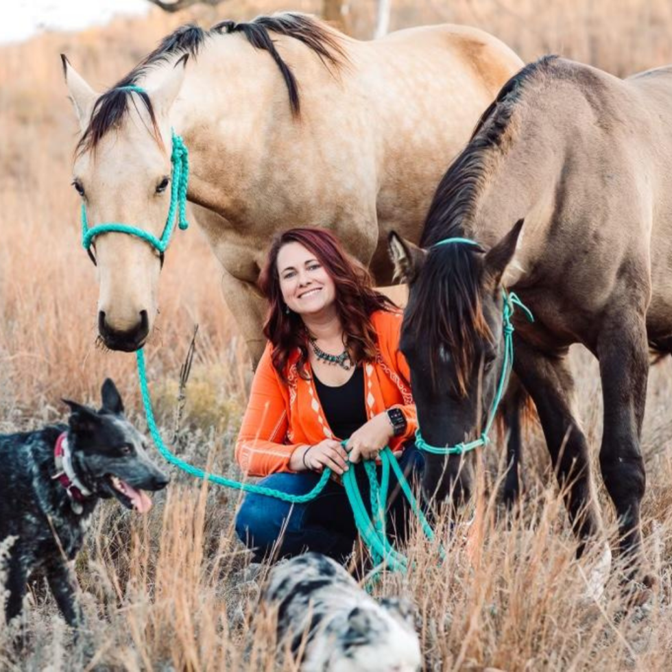 Best Veterinary Clinic In Decatur, Decatur, Texas 76234 Decatur