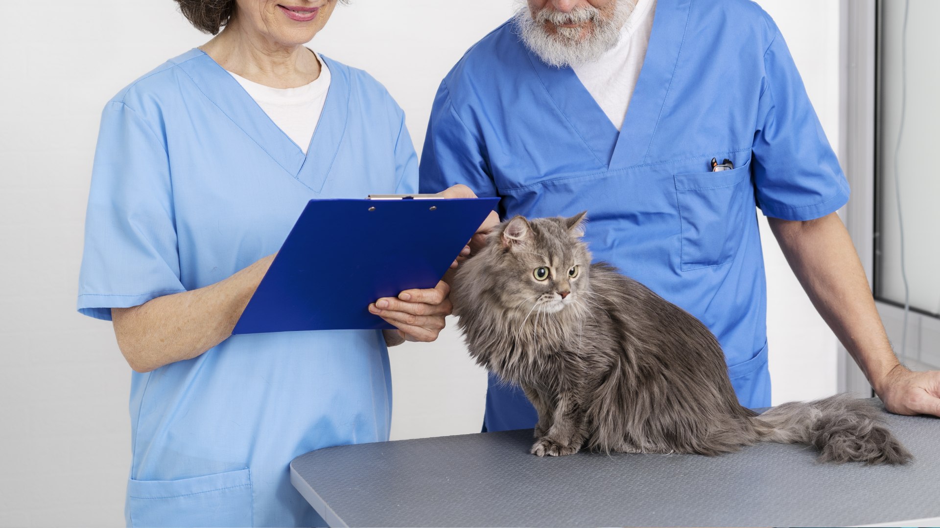 Decatur, Texas 76234 Veterinary Jobs Decatur Veterinary Clinic