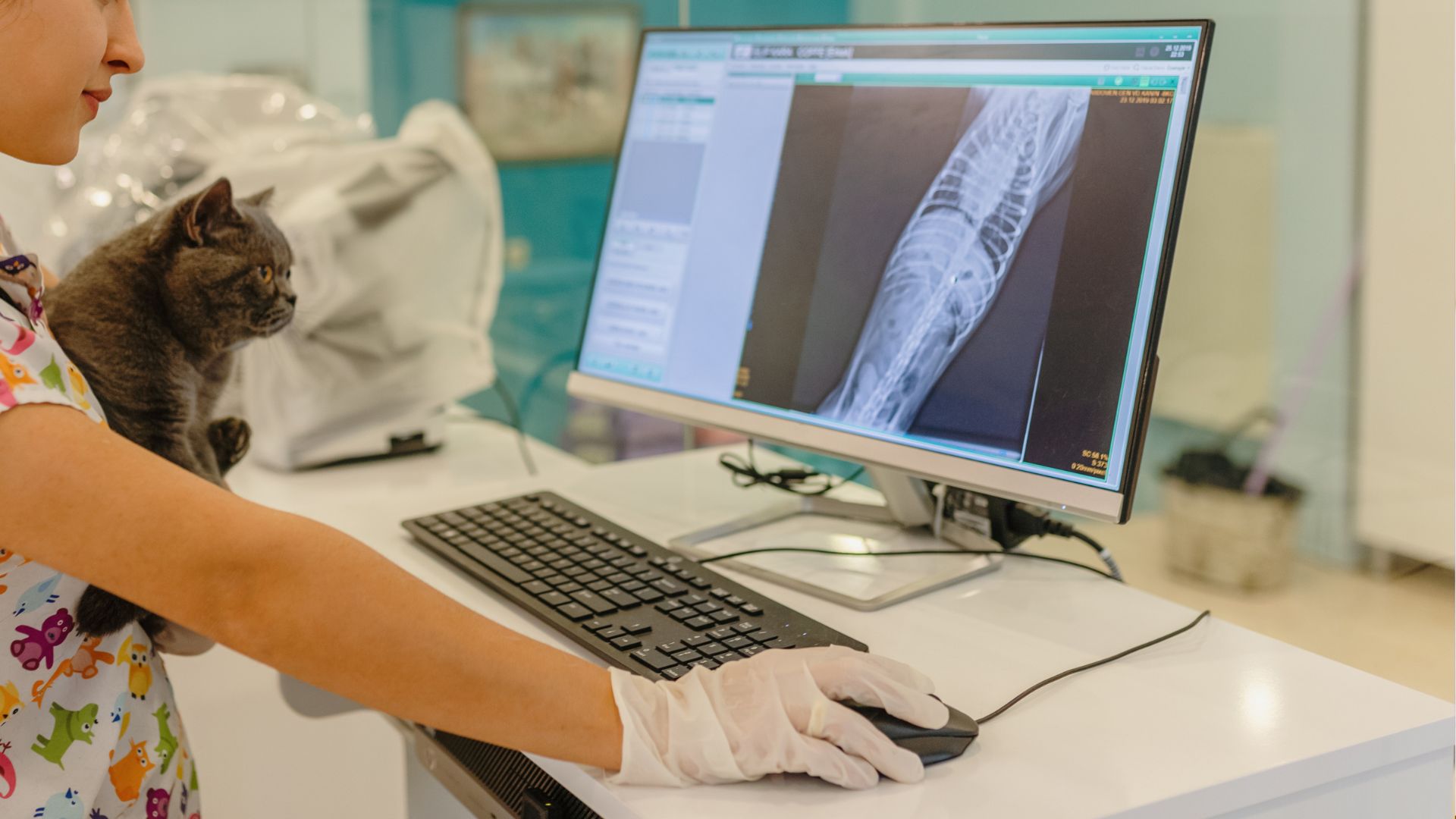 Pet Diagnostic Imaging In Decatur, Texas 76234 Decatur Veterinary Clinic