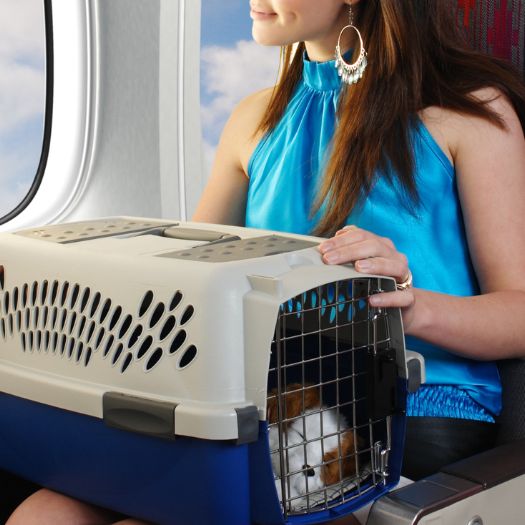 Woman in an airplane with dog