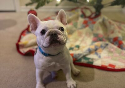 Oakley - Waiting on Santa!